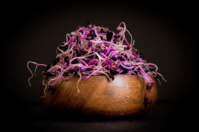 Articol Solvandrissa